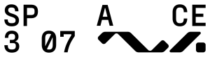 space 307 logo black