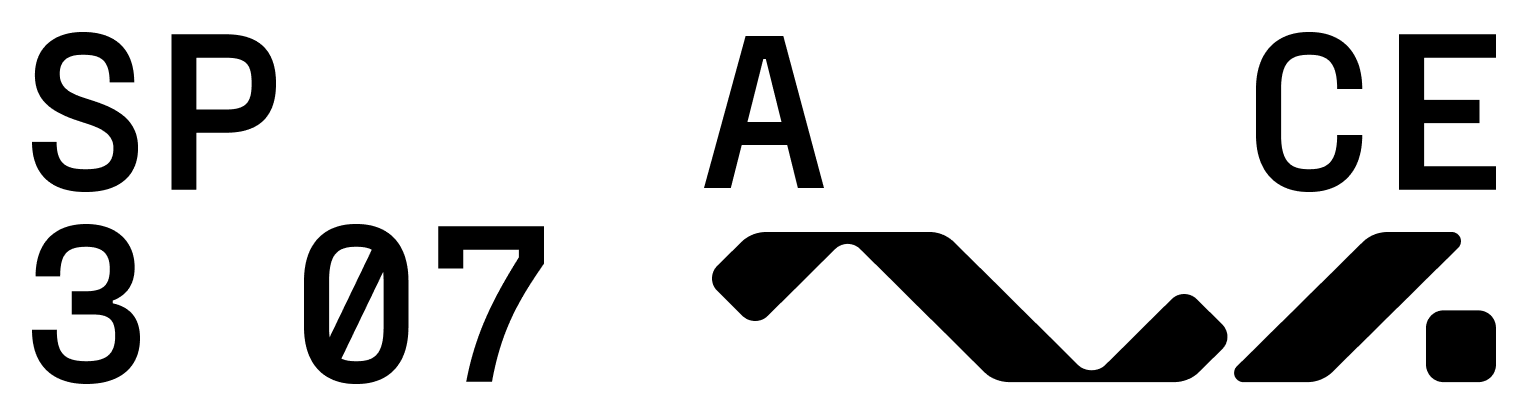 space 307 logo black